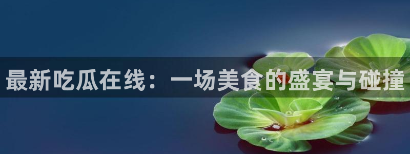 明星黑料证据梳理