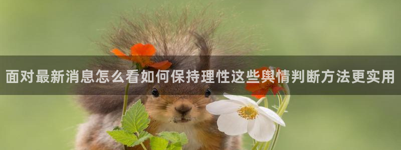 网络黑料