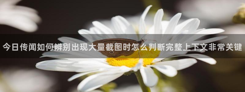 网红黑料今日更新