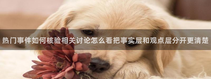 黑料当事人回应