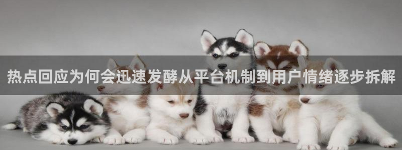 明星黑料最新消息