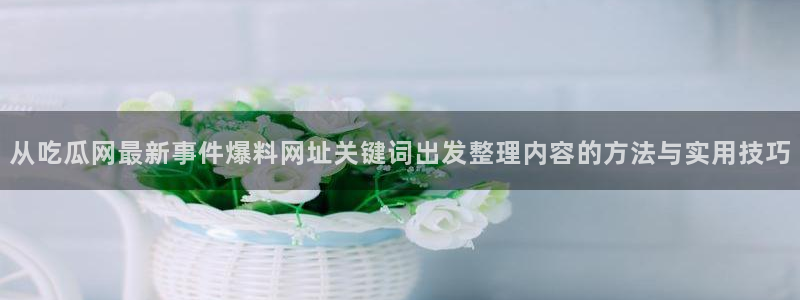 网络黑料真伪核验