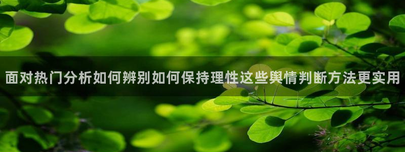 职场黑料今日更新