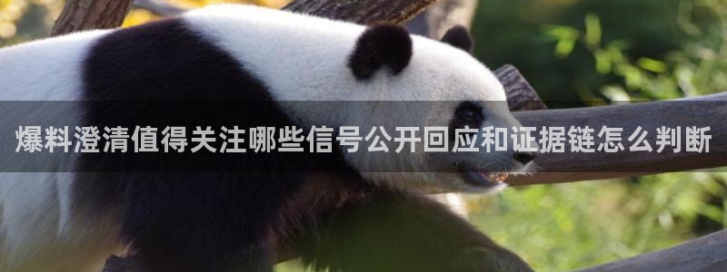 热门黑料后续进展