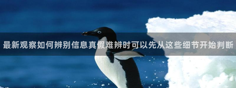 网络黑料