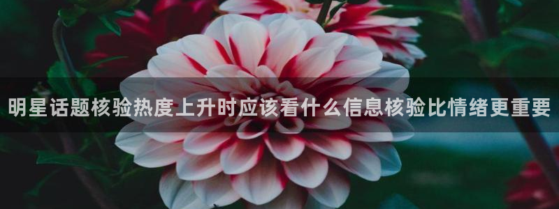 主播黑料