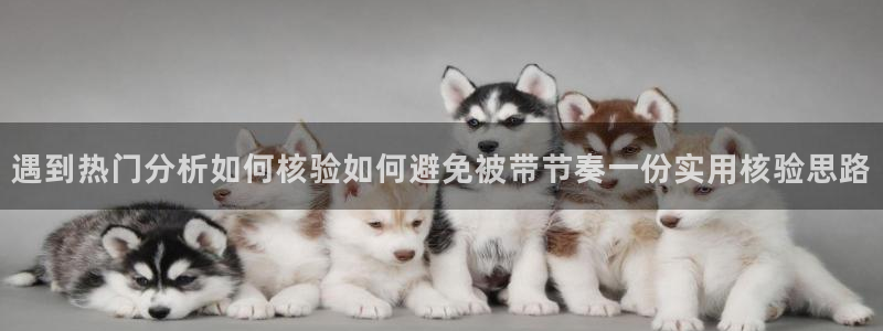 独家黑料真伪核验